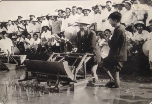 hinh-anh-Bac-Ho-thu-may-cay-cai-tien-16-7-1960.jpg