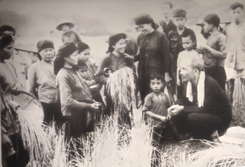 chu-tich-ho-chi-minh-tham-nong-dan-dang-gat-lua-tai-xa-hung-son-huyen-dai-tu-tinh-thai-nguyen-ngay-20-9-1954.jpg